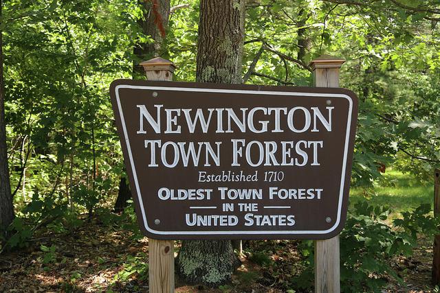 Newington, NH 03801